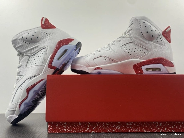 Rep 6 Retro CT8529-162 Jordan Hare 0723